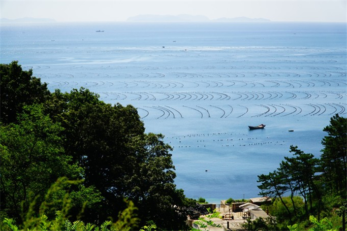 小长山岛自驾游