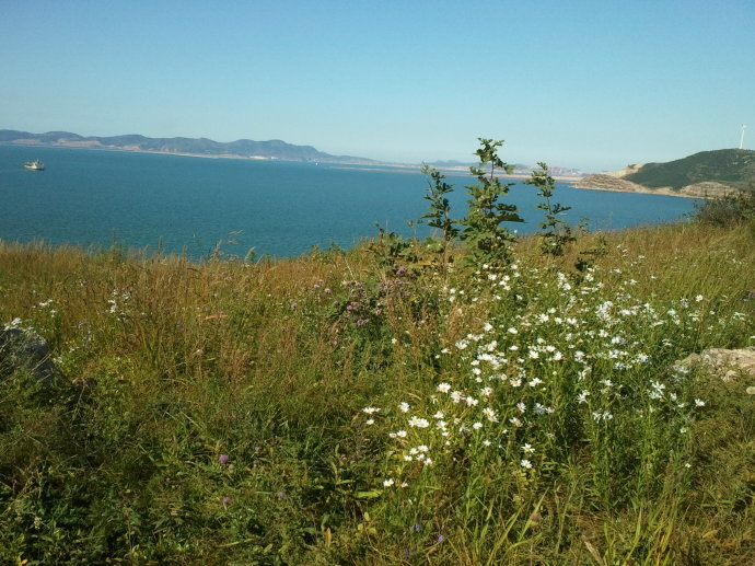 西中岛又叫海蜇岛