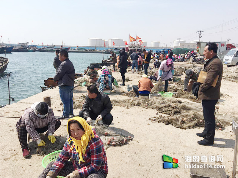 绥中东戴河当地渔民是如何捕捞皮皮虾（虾爬子）的？