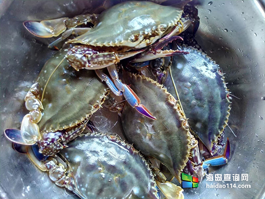 东戴河大富海鲜农家院 