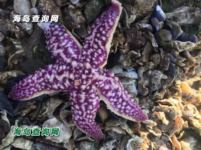 东戴河海趣渔家  