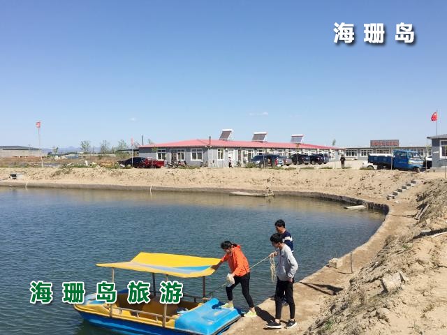 东戴河碧海蓝天农家院 