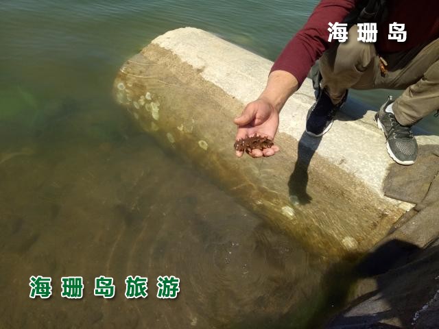 东戴河碧海蓝天农家院 