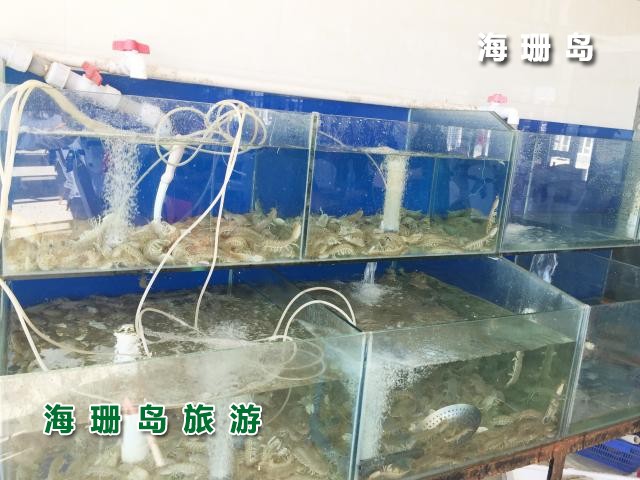 东戴河碧海蓝天农家院 