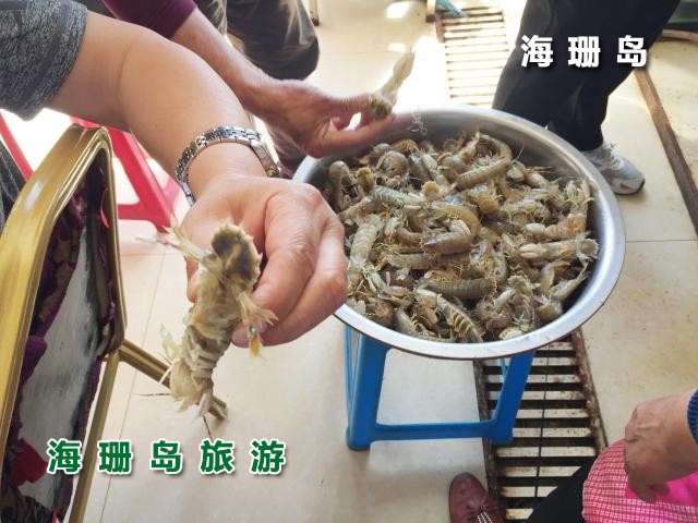 东戴河碧海蓝天农家院 