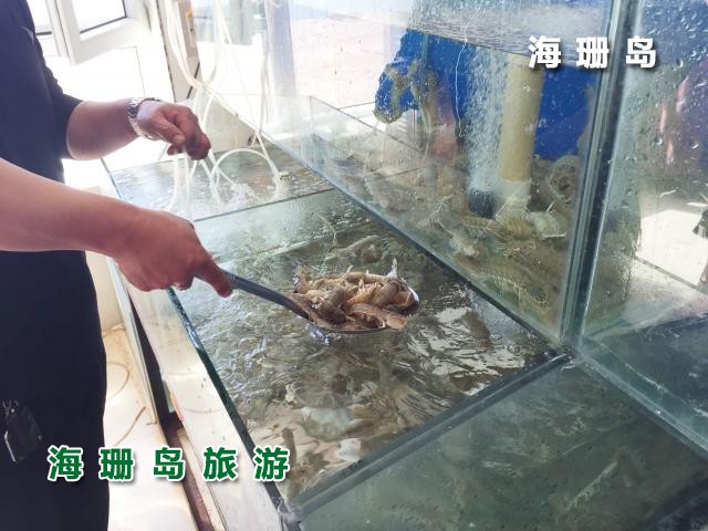 东戴河碧海蓝天农家院 