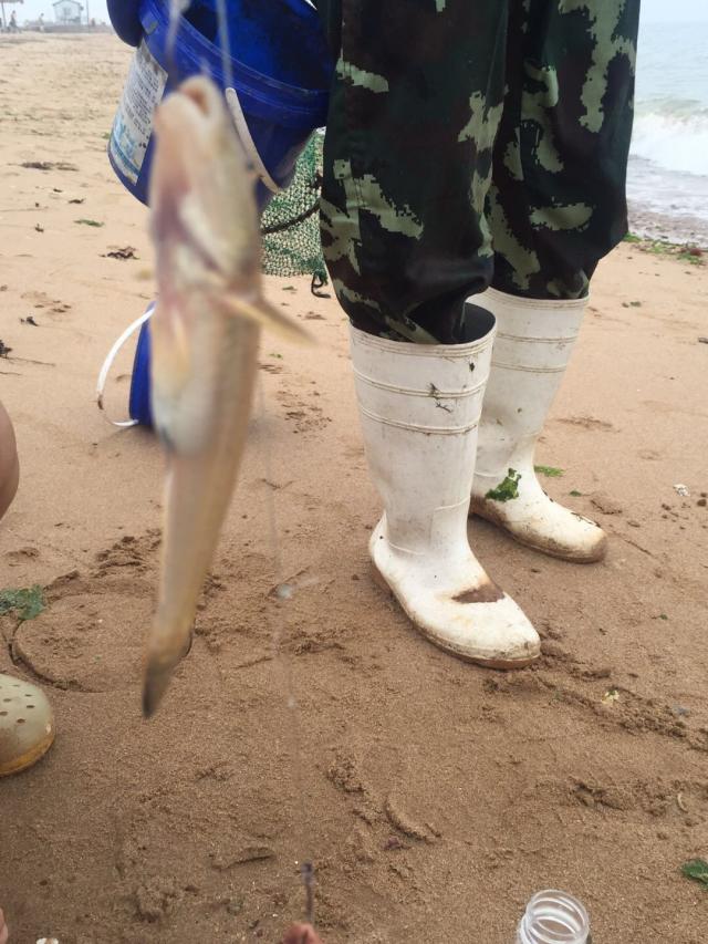 东戴河碧海蓝天农家院 