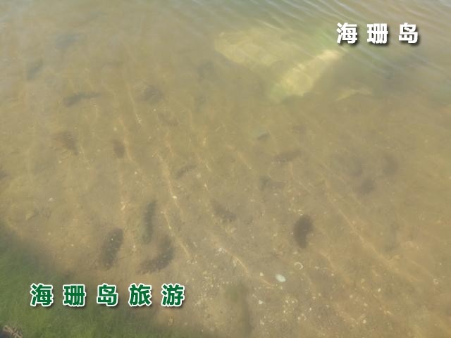 东戴河碧海蓝天农家院 