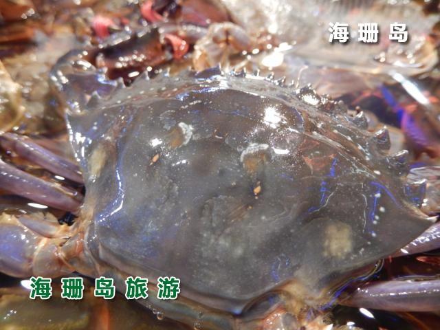 东戴河毅缘农家院  