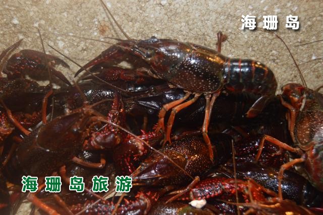 东戴河毅缘农家院  