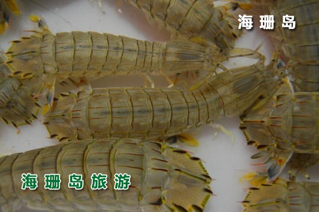 东戴河毅缘农家院  