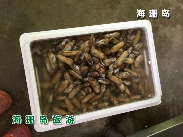 东戴河毅缘农家院  