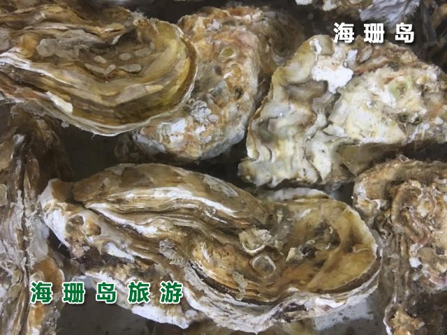 东戴河毅缘农家院  