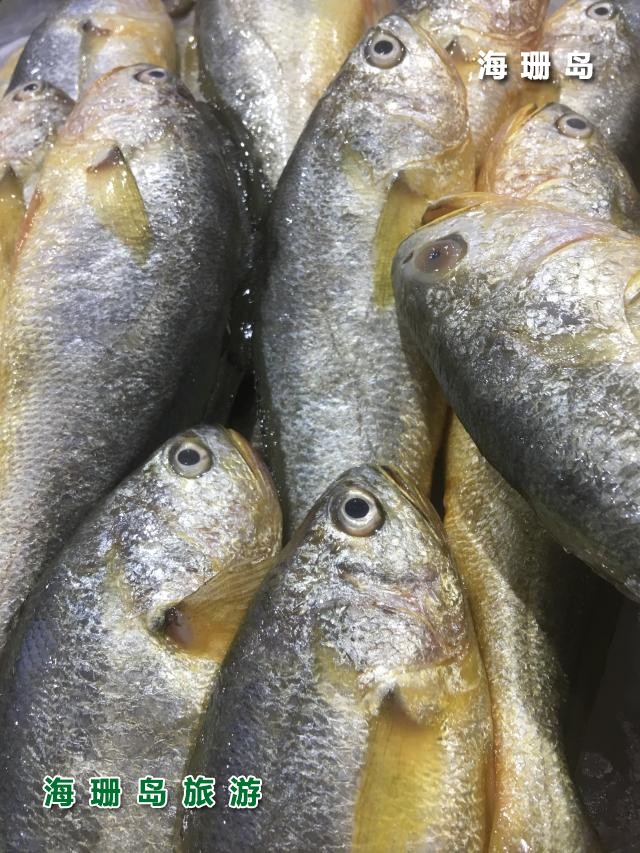 东戴河毅缘农家院  