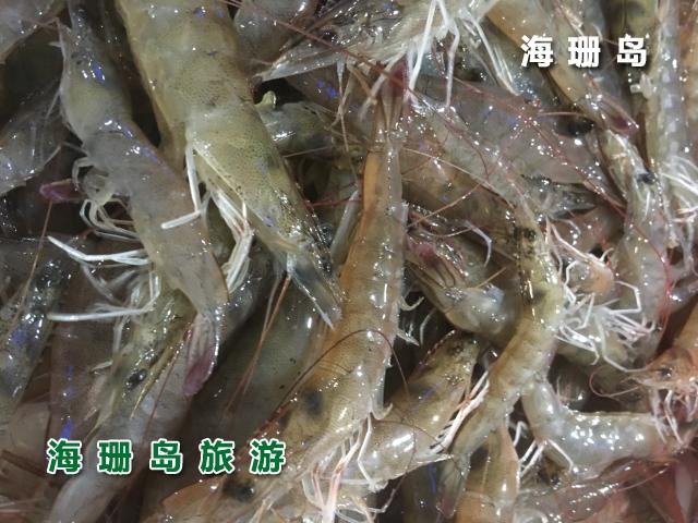东戴河毅缘农家院  