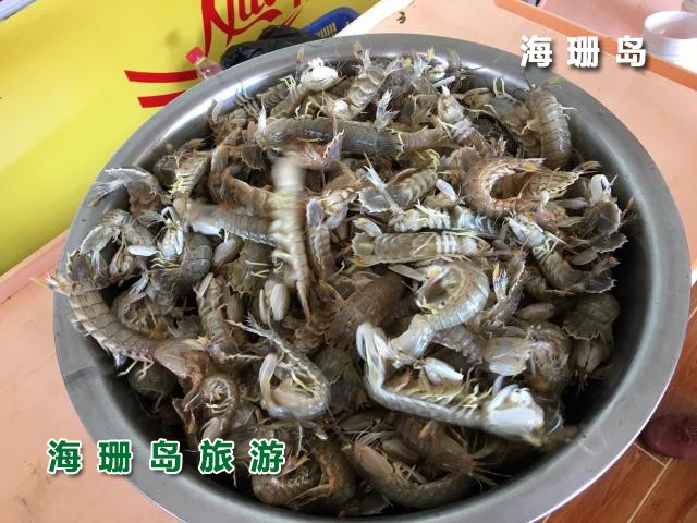 东戴河苹果园农家院  