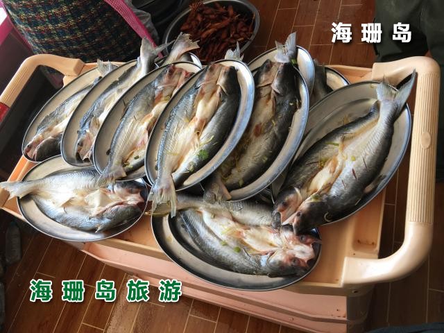 东戴河苹果园农家院  