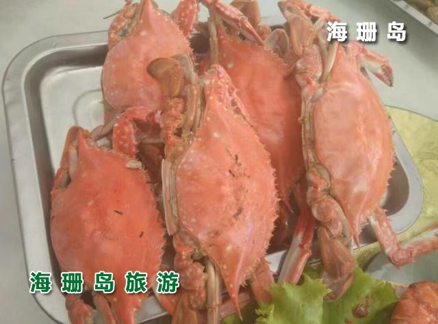 东戴河苹果园农家院  