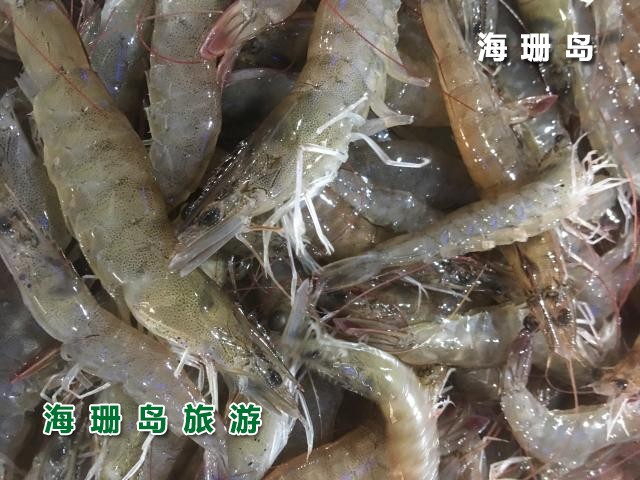 东戴河苹果园农家院  