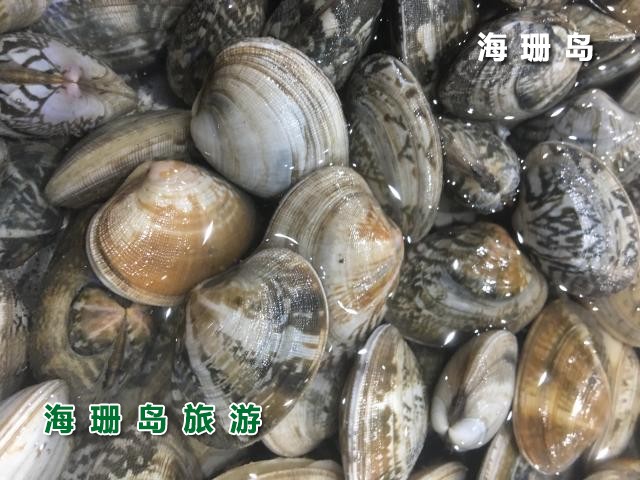 东戴河苹果园农家院  
