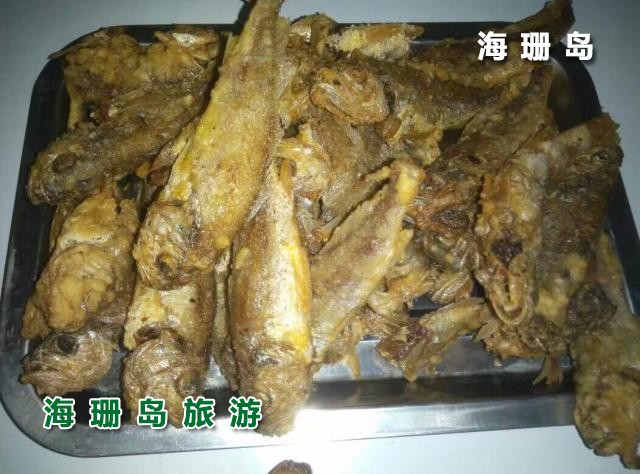 东戴河苹果园农家院  