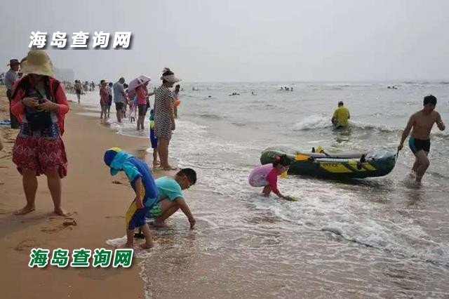 东戴河苹果园农家院  