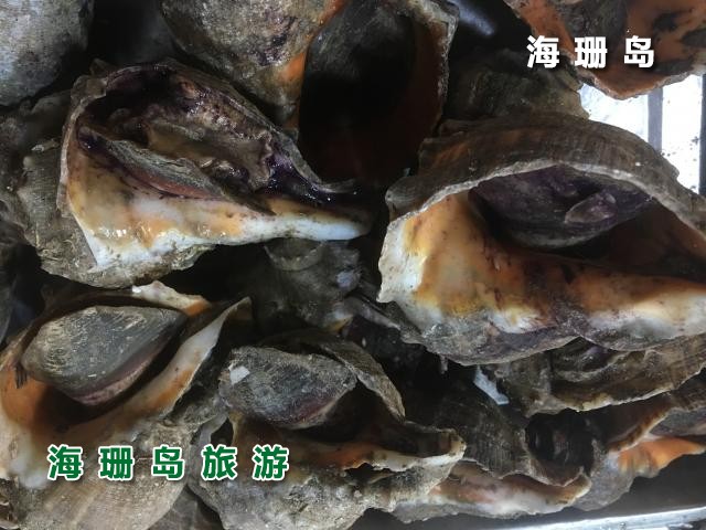 东戴河梦之海农家院  