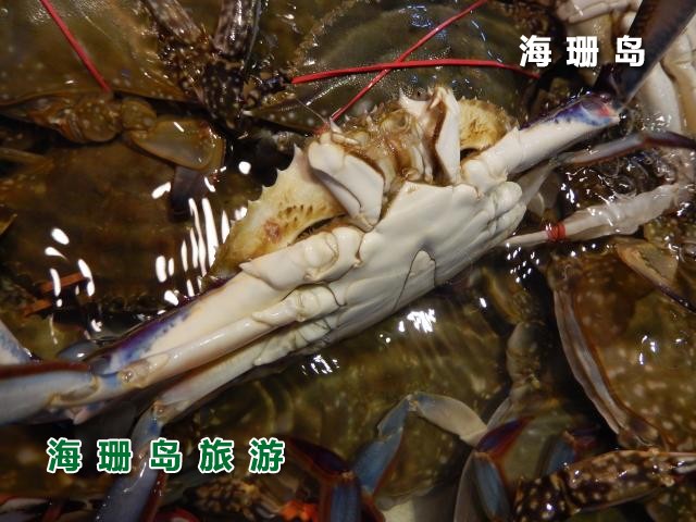 东戴河梦之海农家院  