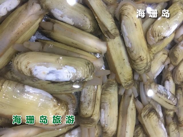 东戴河梦之海农家院  