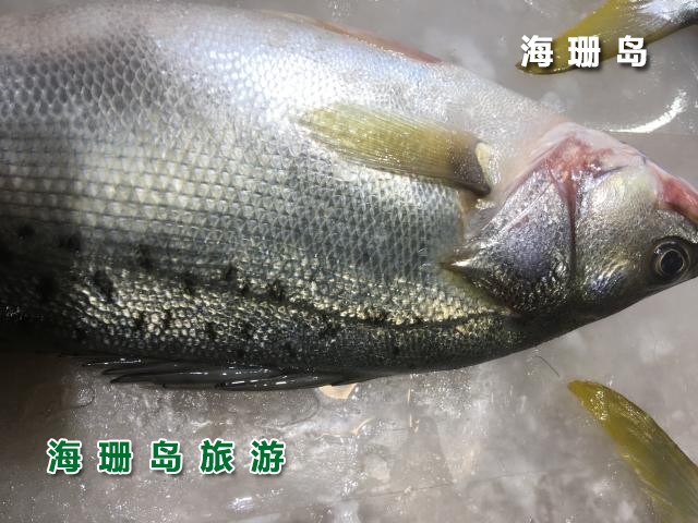 东戴河梦之海农家院  