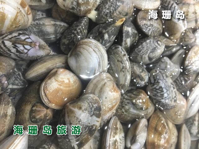 东戴河梦之海农家院  