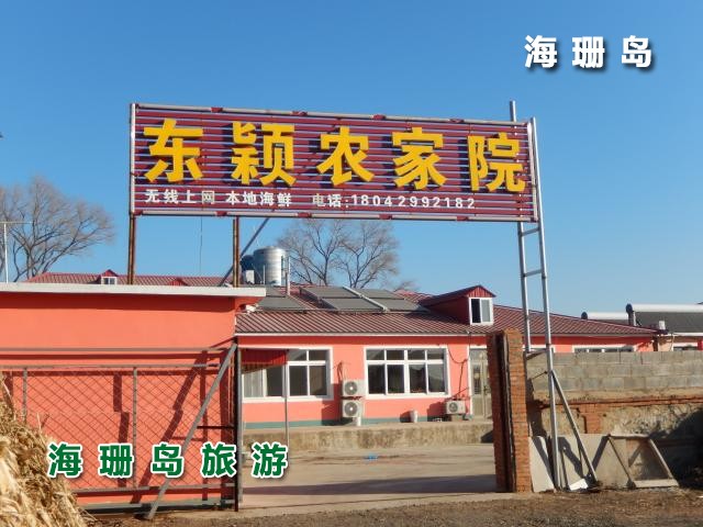 东戴河东颖农家院  