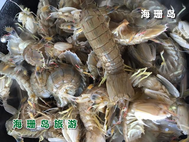 东戴河东颖农家院  