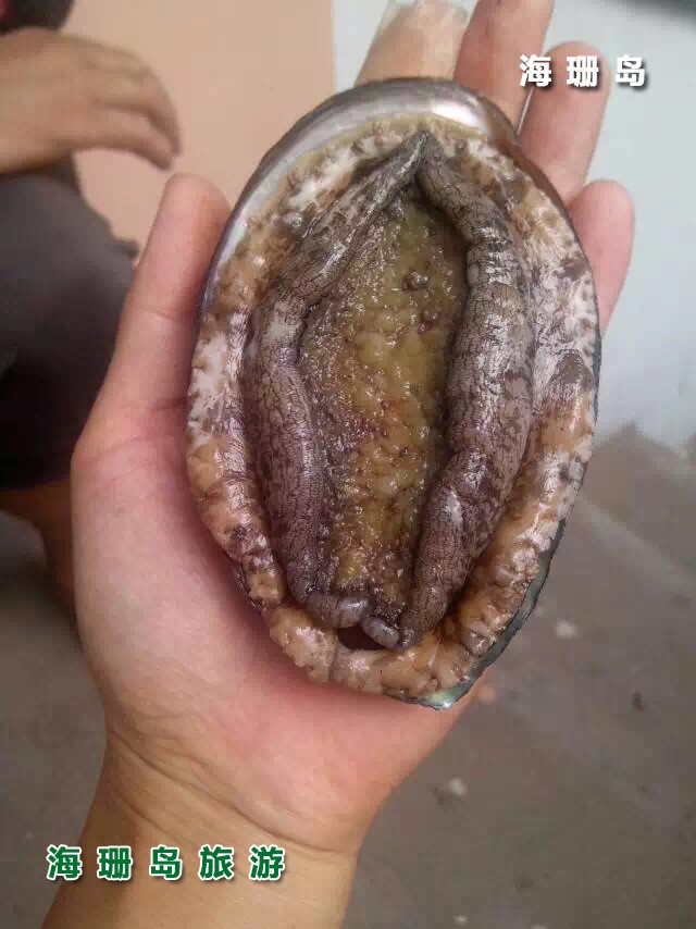 东戴河东颖农家院  
