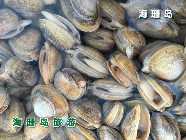 东戴河东颖农家院  