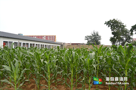 东戴河赵潭旅店 