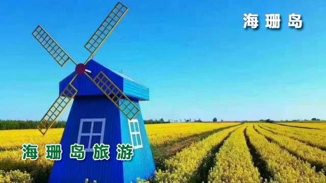 东戴河李双旅店  