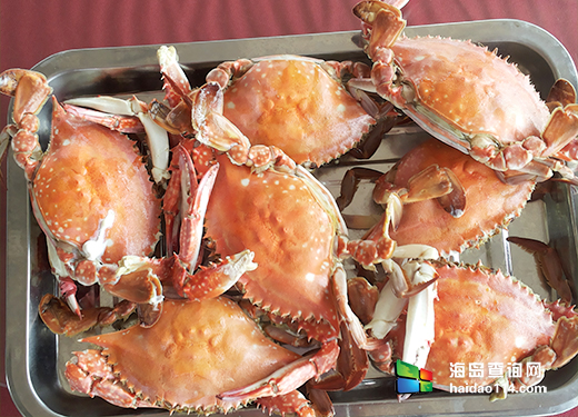 东戴河海韵君缘 