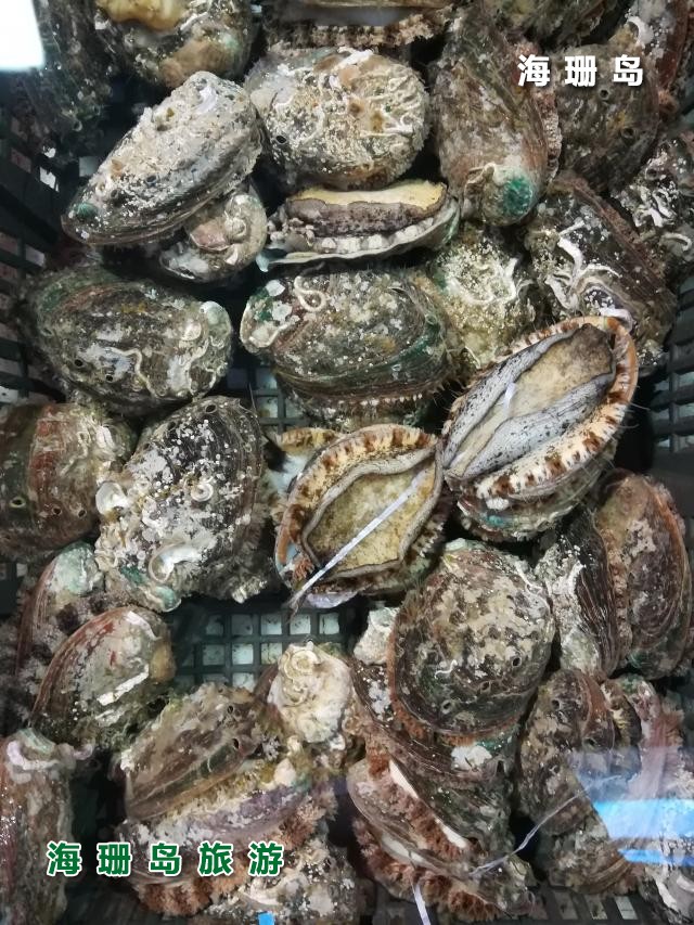 东戴河媛媛农家院  