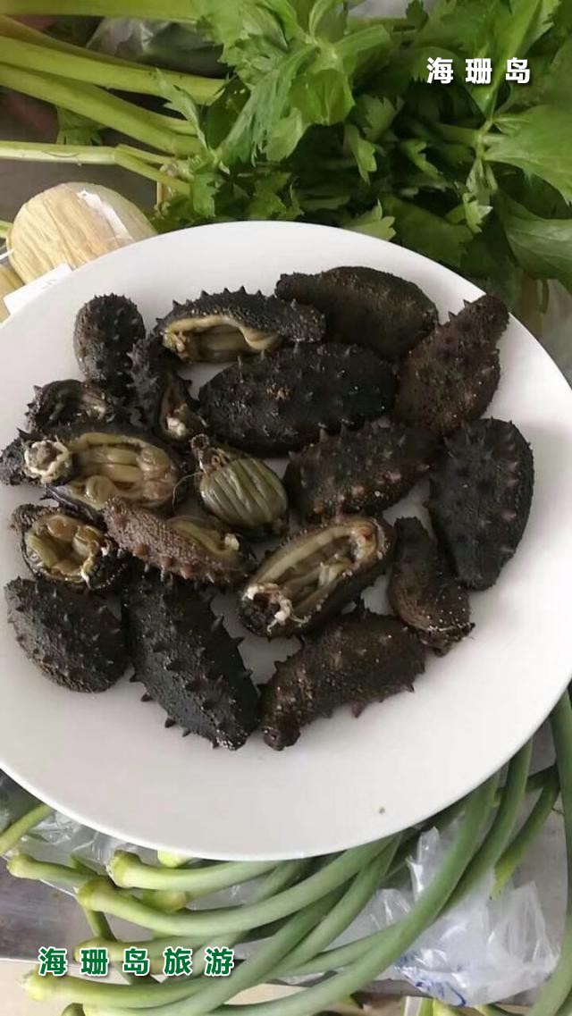 东戴河海恋渔家院  