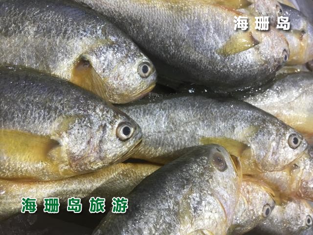 东戴河海恋渔家院  