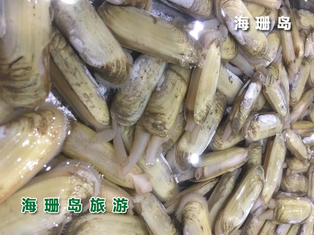 东戴河海恋渔家院  