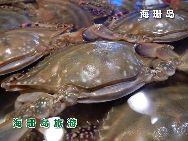 东戴河海恋渔家院  