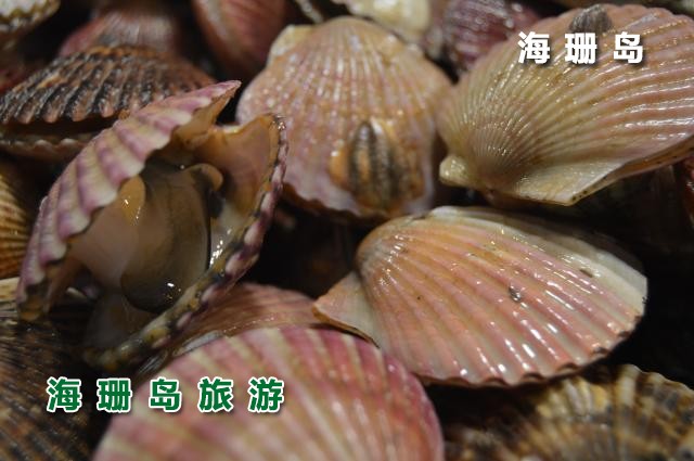 东戴河海恋渔家院  