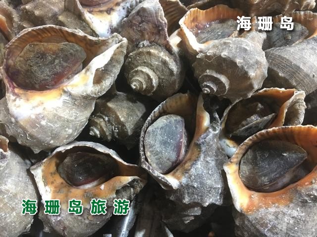 东戴河海恋渔家院  