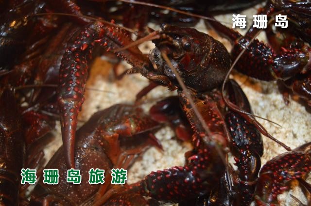 东戴河海恋渔家院  