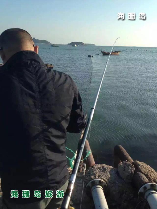 东戴河海岛农家院  