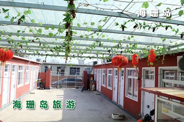 东戴河明明农家乐  