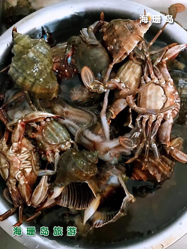 东戴河明明农家乐  