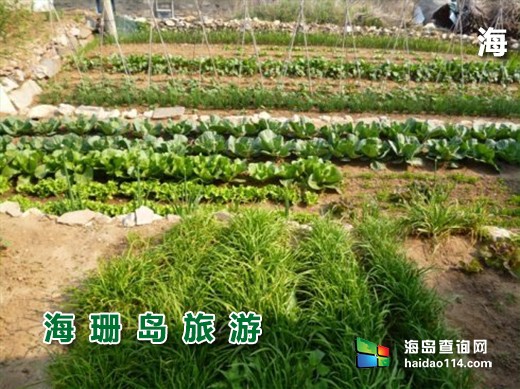 东戴河清韵阁假日宾馆  